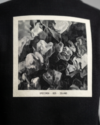 Specimen Hoodie